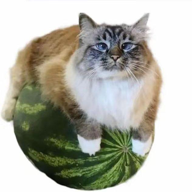 sugarhillf avatar
