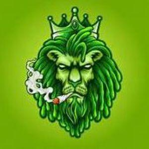 HellKitcheen avatar
