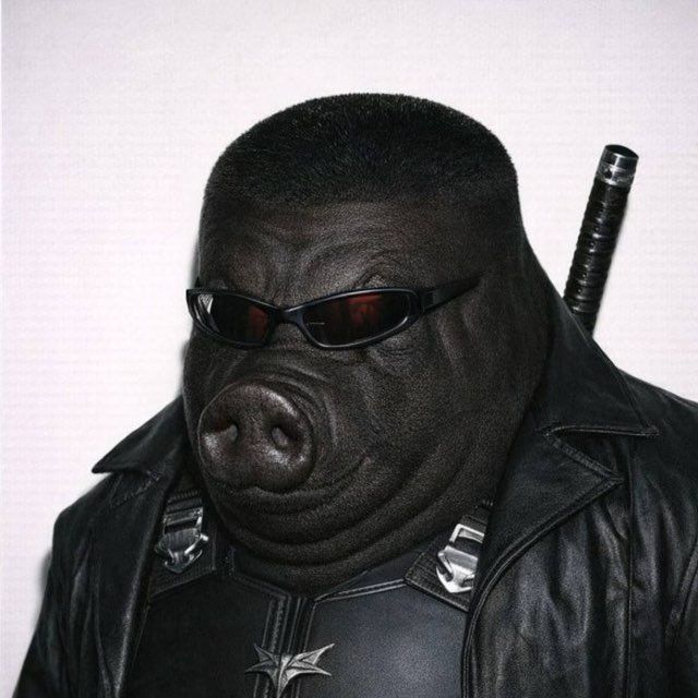 zxc_k1ng FACEIT avatar