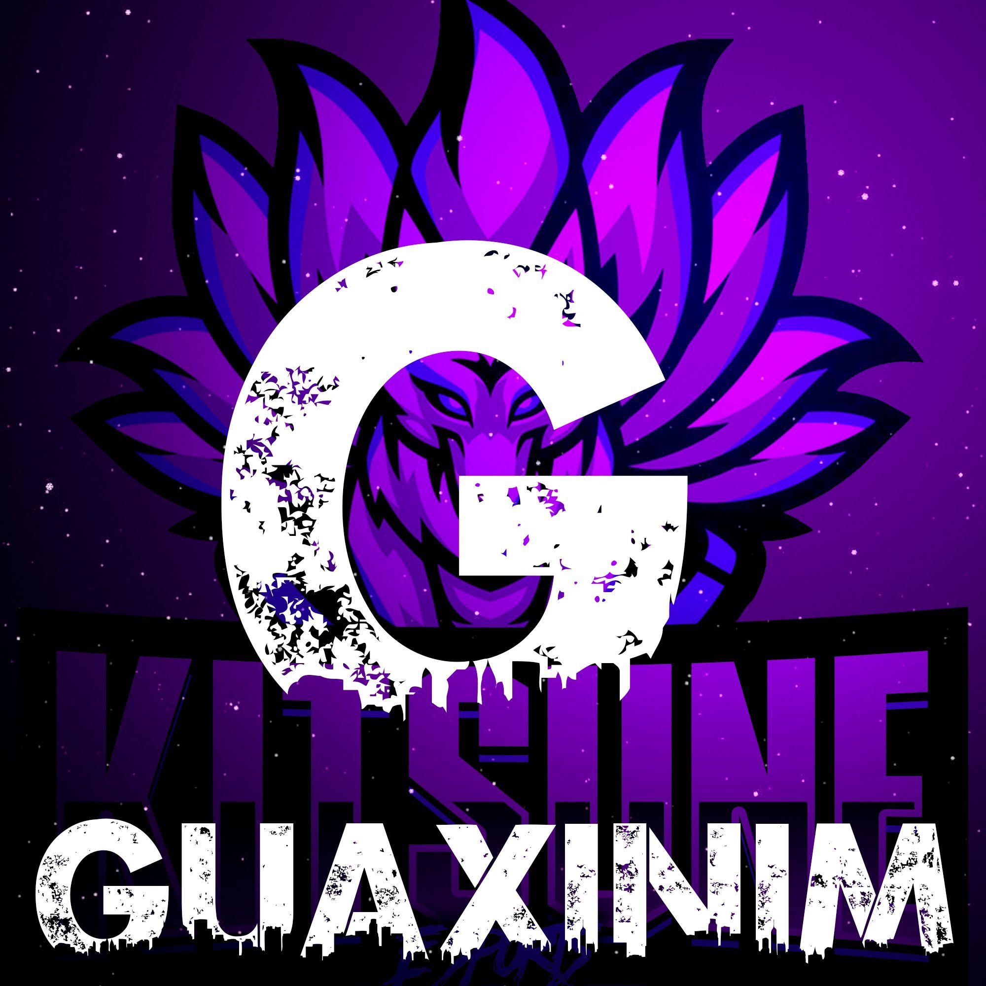 DJ_Guaxinim avatar