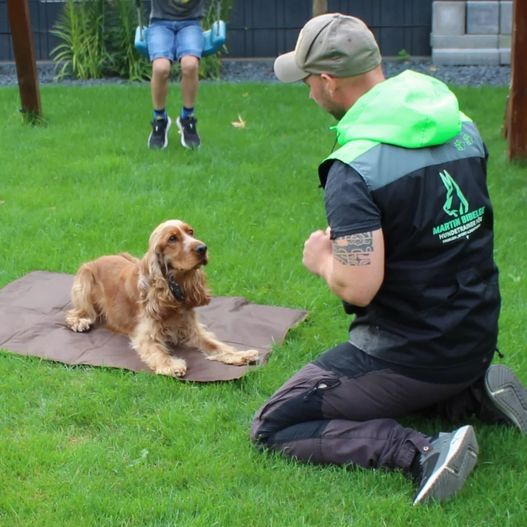 Hundetrainer
