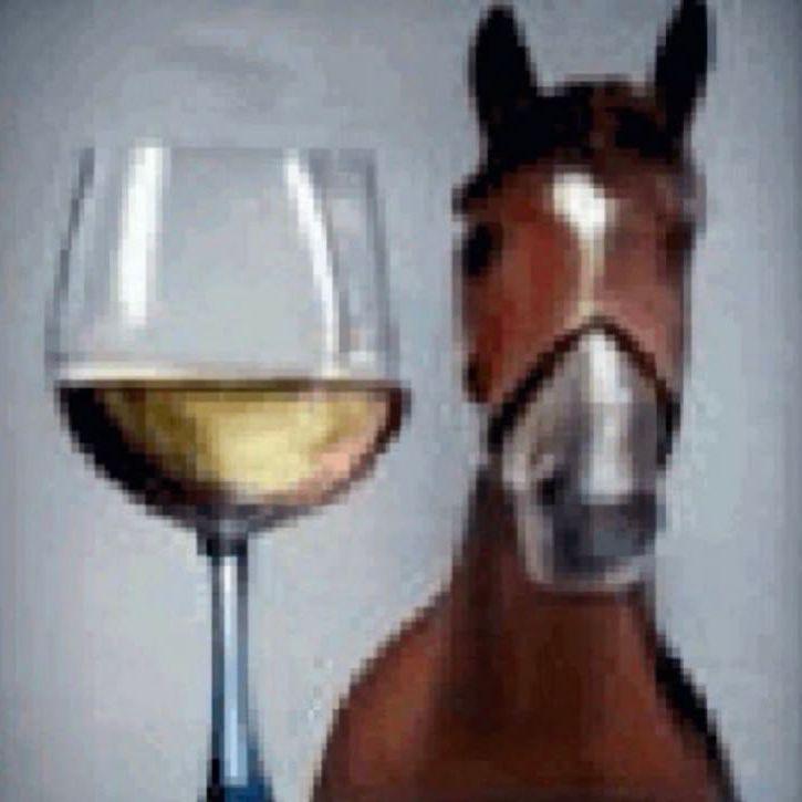 Trinq avatar