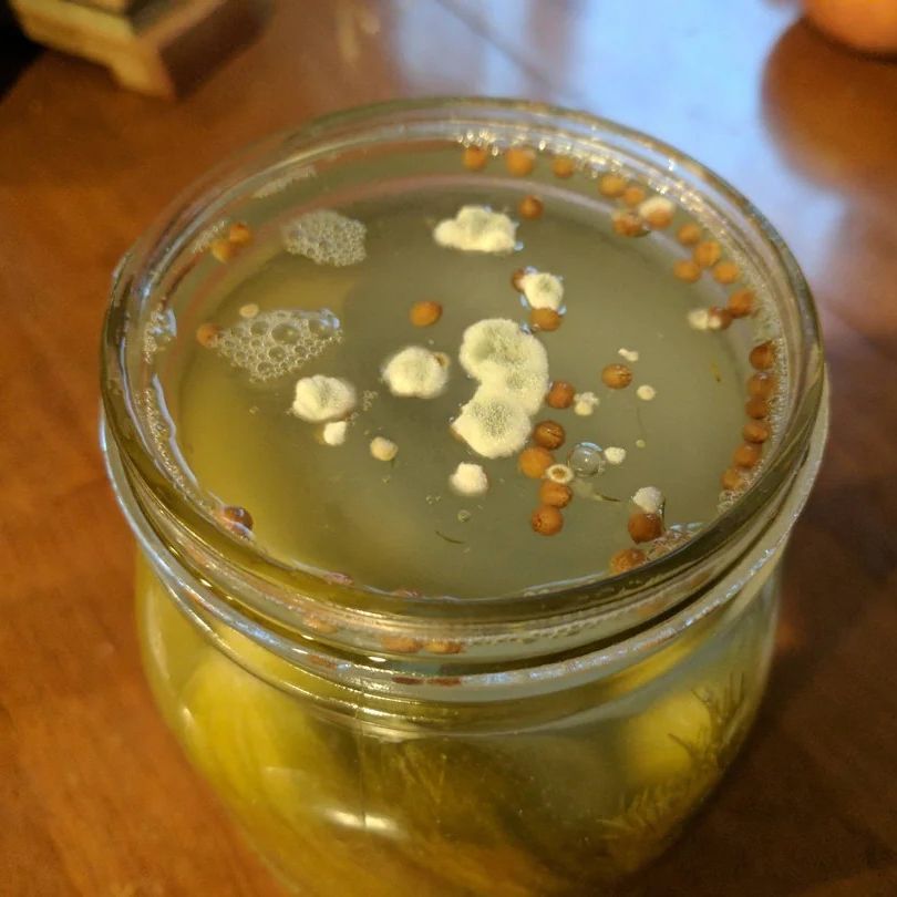 MoldyPickle
