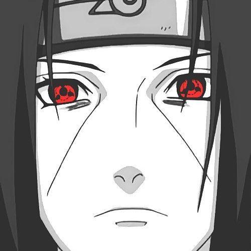 FENCHACION avatar
