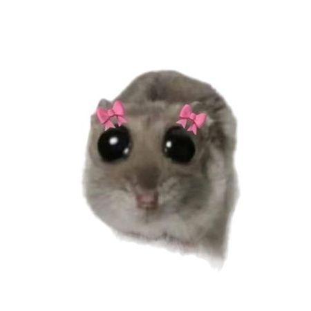 LLIaLLIJLbIk avatar