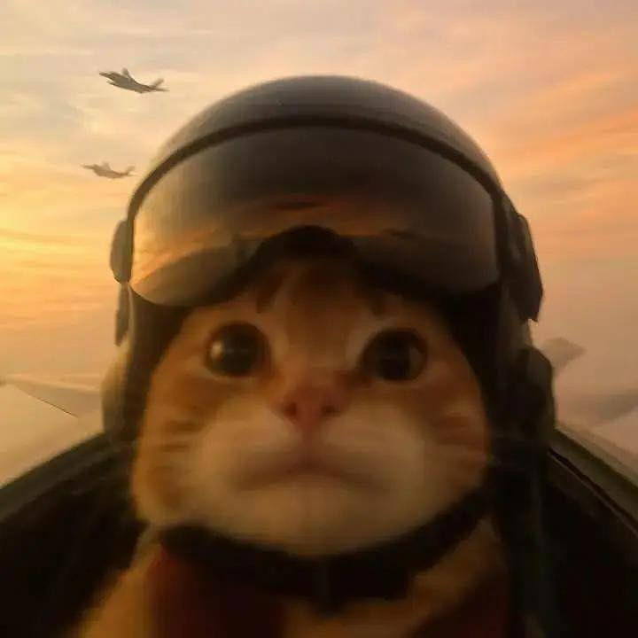 iLYSHKQKA avatar