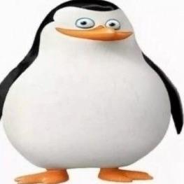 wart0pl avatar