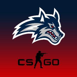 SBU Seawolves