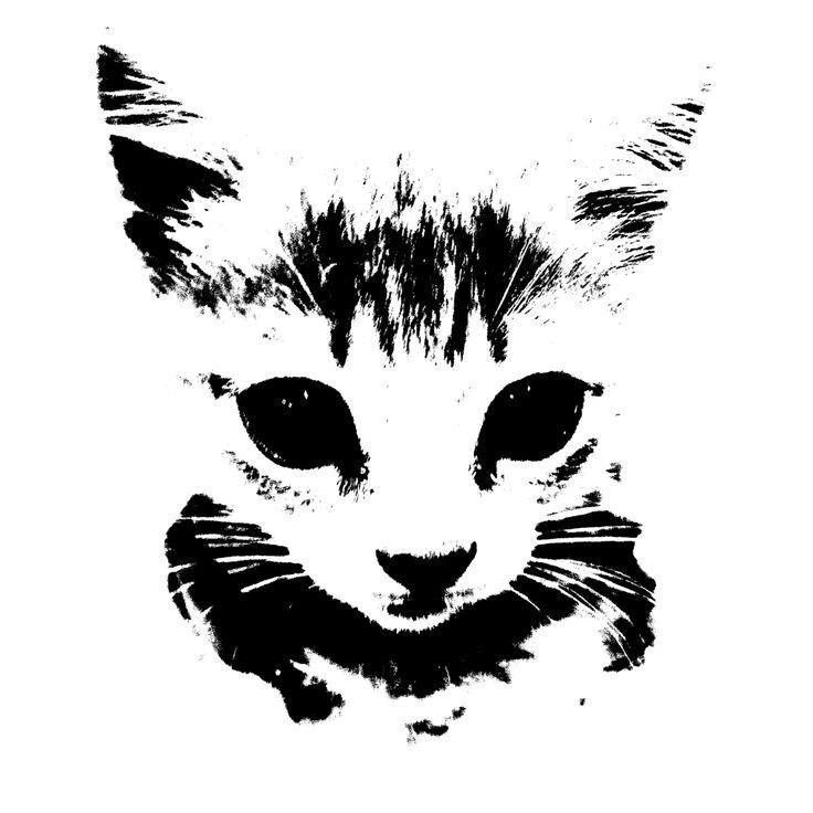 dayukku avatar