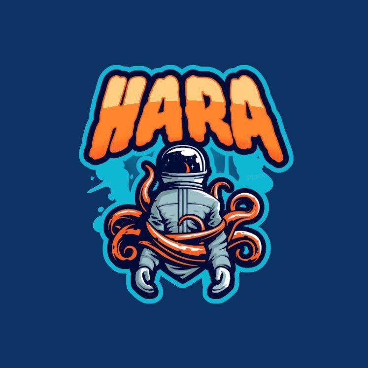 Player HaRa17 avatar