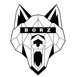 -borz13 avatar