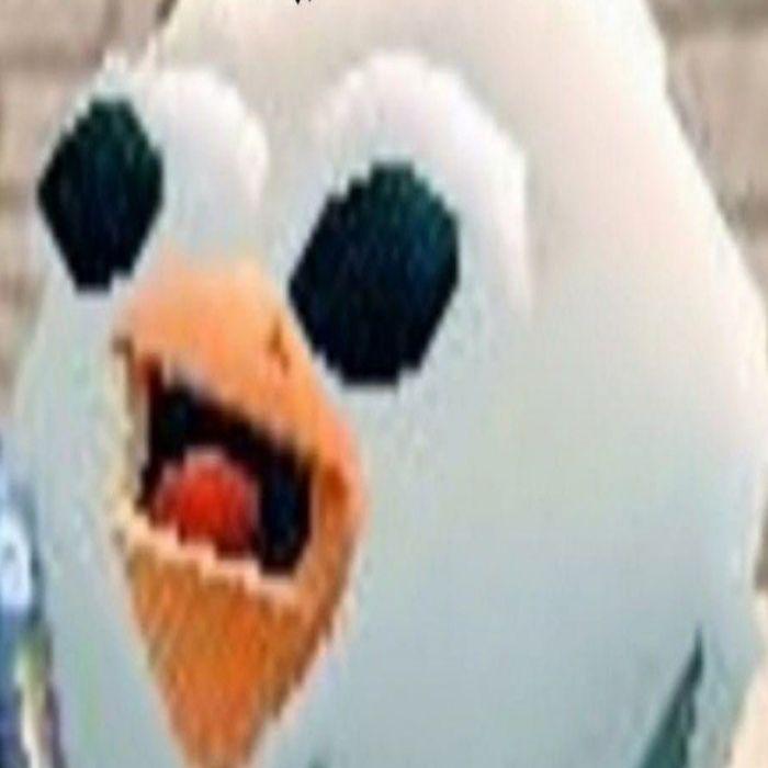 fleir0cheg avatar