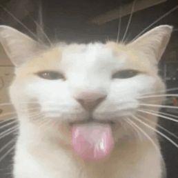 1nferTop4ik avatar