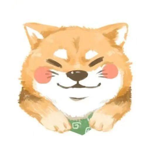 Zongyi avatar