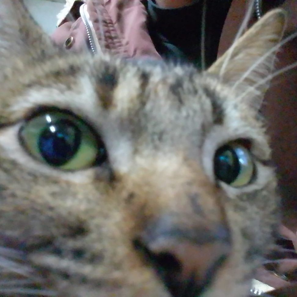 MateoMorot