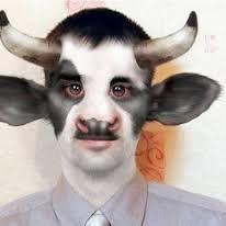 ksushaklitor avatar