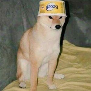 muumipeikkoD avatar