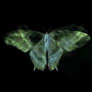 Briick- avatar