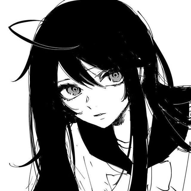 dakotazv avatar