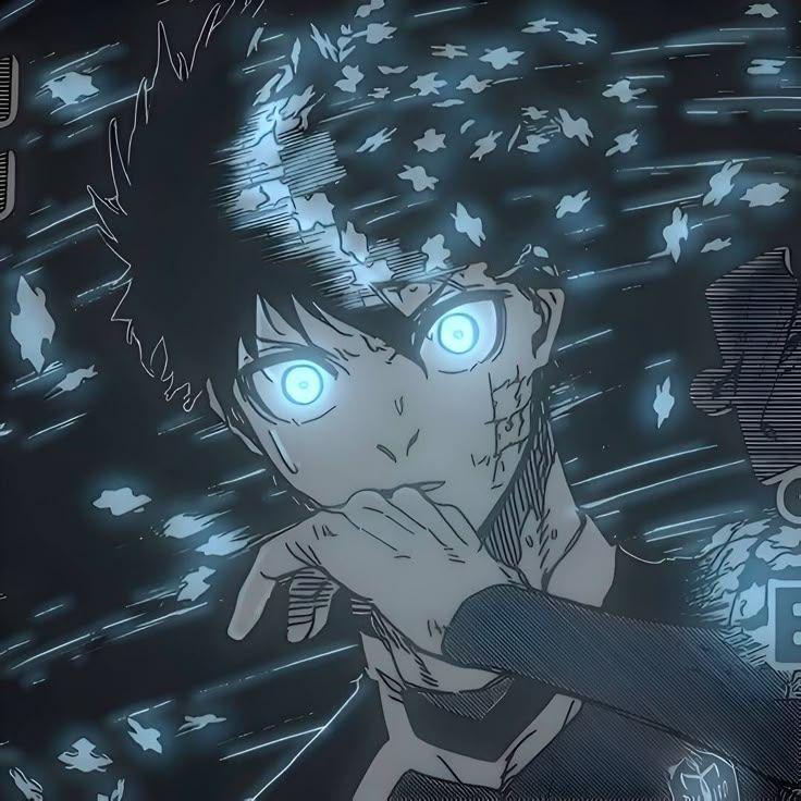 sh1dQ avatar