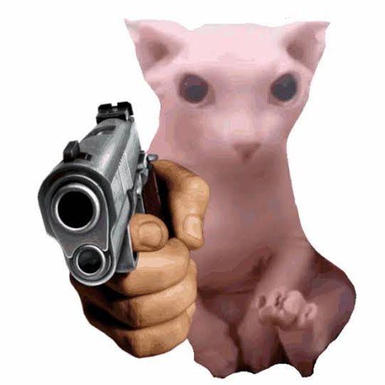 Davraz avatar
