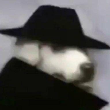 RZKjj avatar