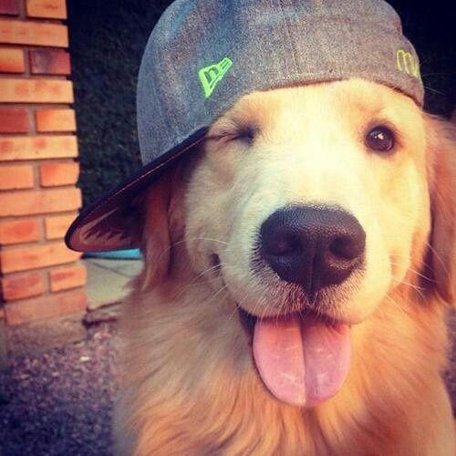 XMihaiX avatar