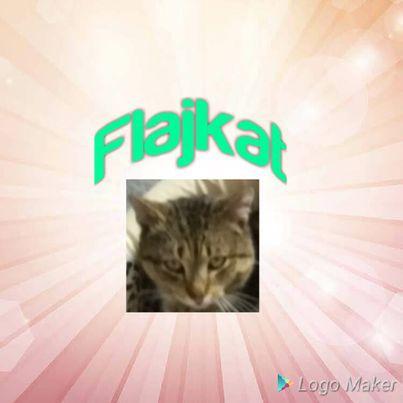 Flajkat avatar