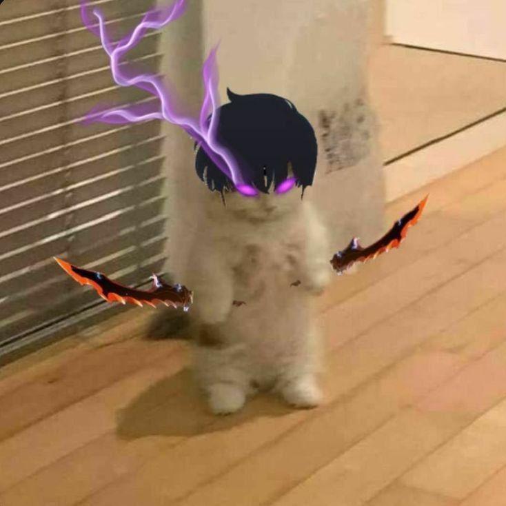 rost1slav_ avatar