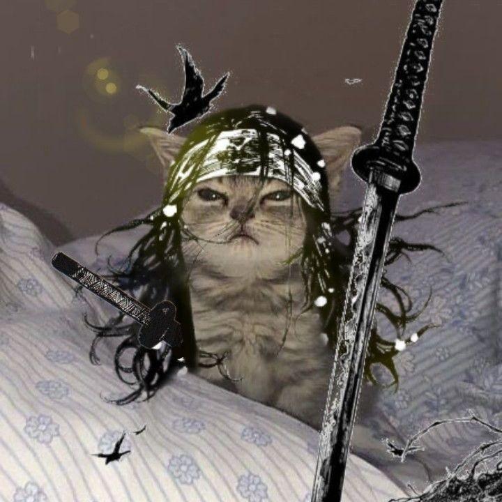 arystanaliev avatar