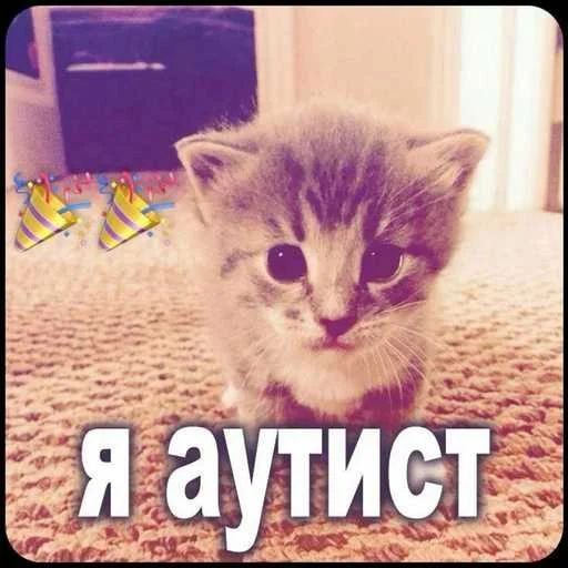 -Welz