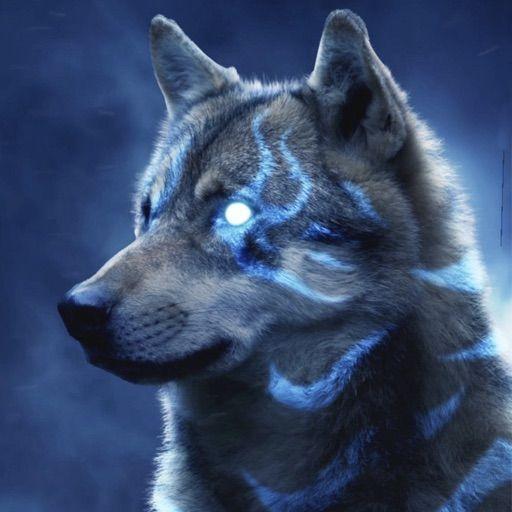Player Wolfi12 avatar