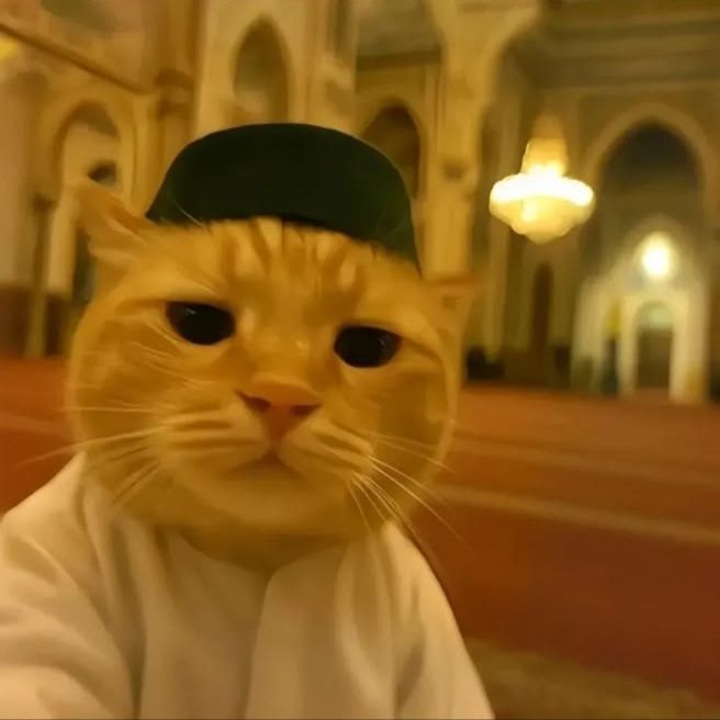 aladin999