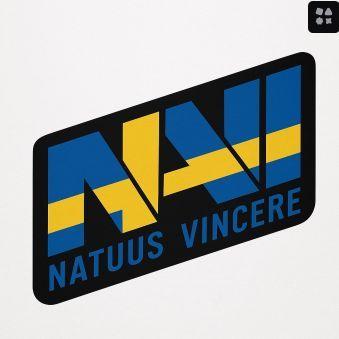 Veyrixz avatar