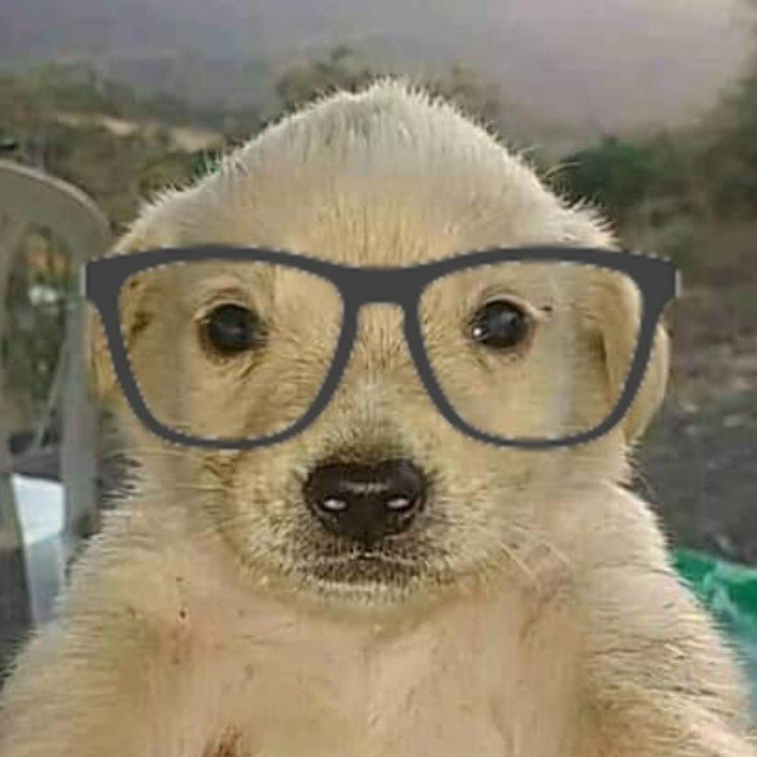 Solaaz avatar