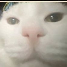 -gand0n1o-