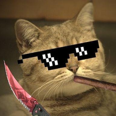 Makenz000 avatar
