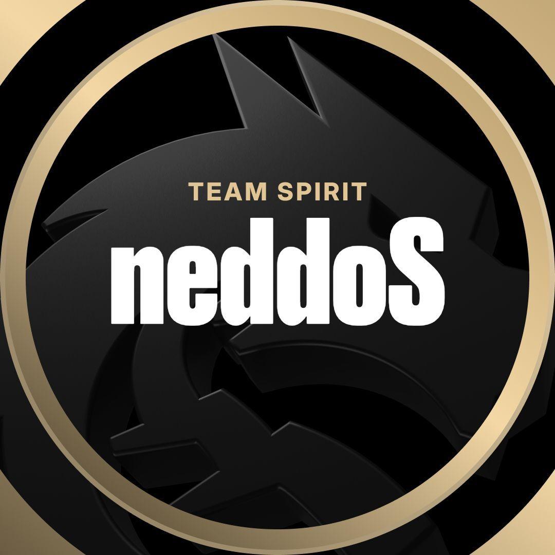 neddoS avatar