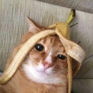 papitosmerf avatar