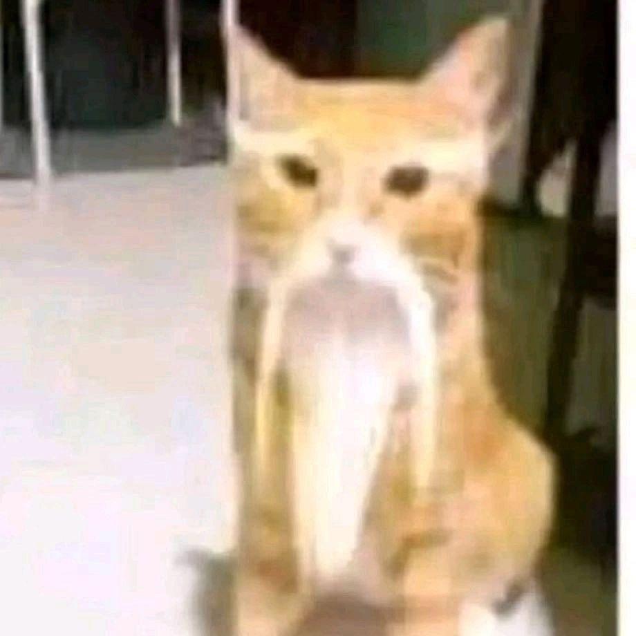 neddy5 avatar