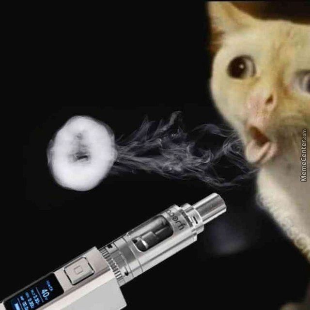 RACUDO11