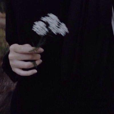 --505 avatar