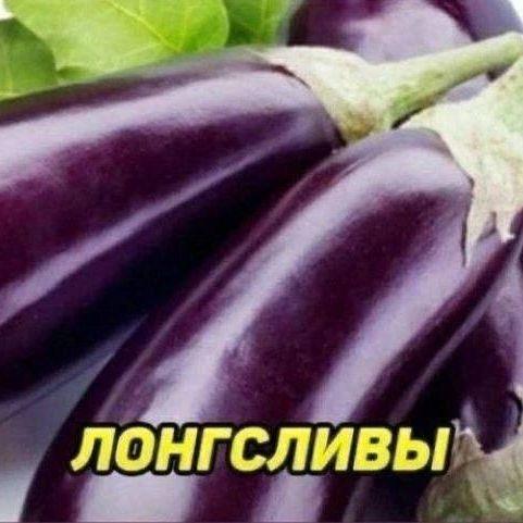 Mertsov avatar