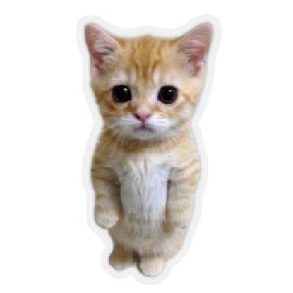 ToPowyDzBan avatar
