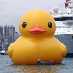 PootisDuck avatar