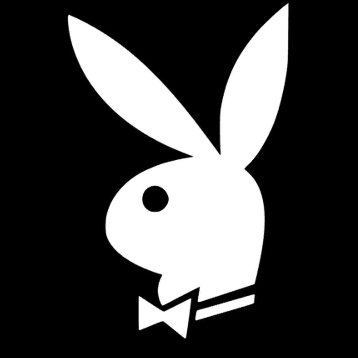 Player BunnyPT23 avatar