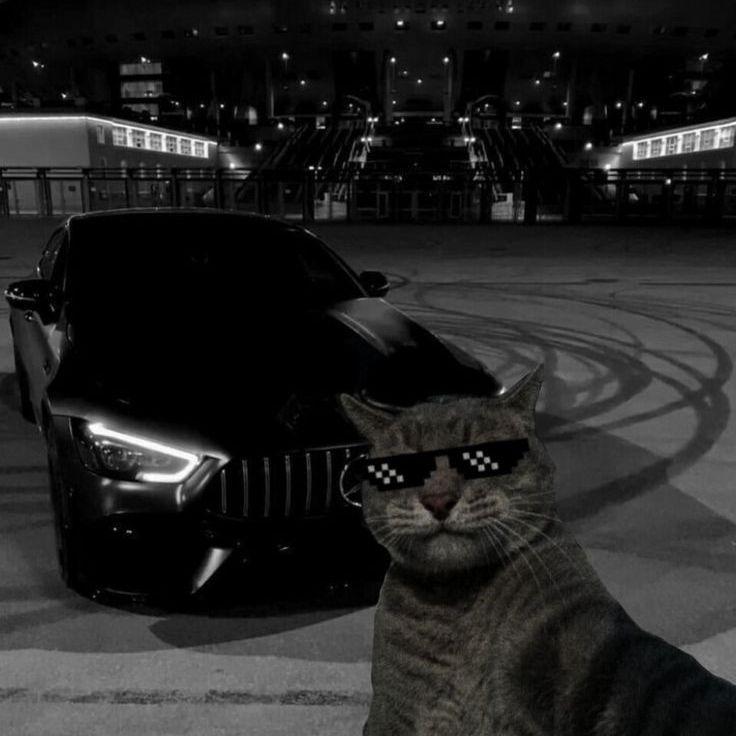 dARm1t avatar