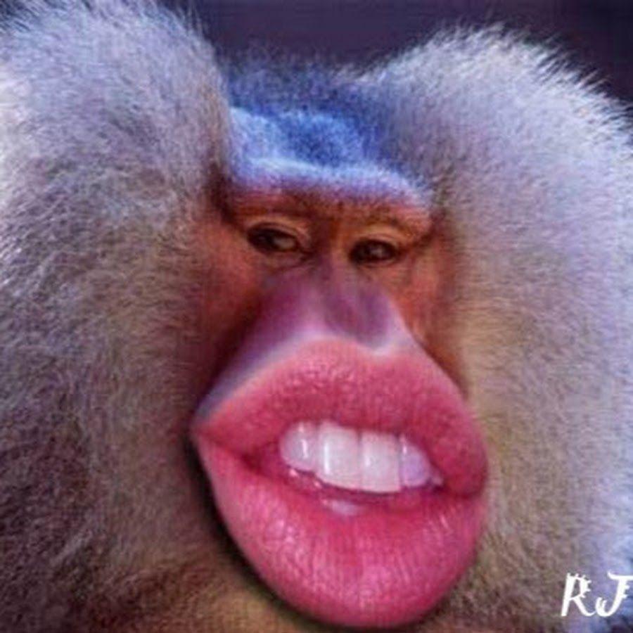 ybesh avatar