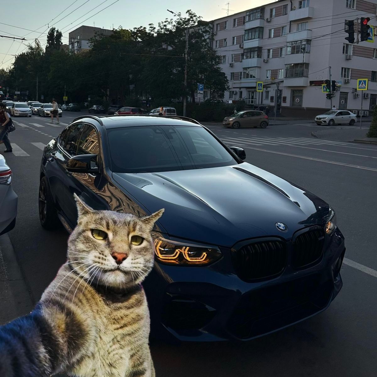 mnogoebal