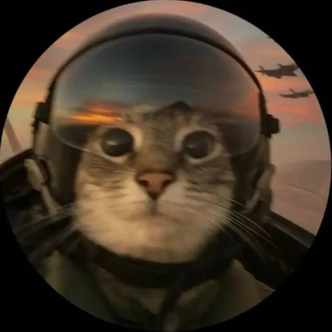 Kurzov avatar